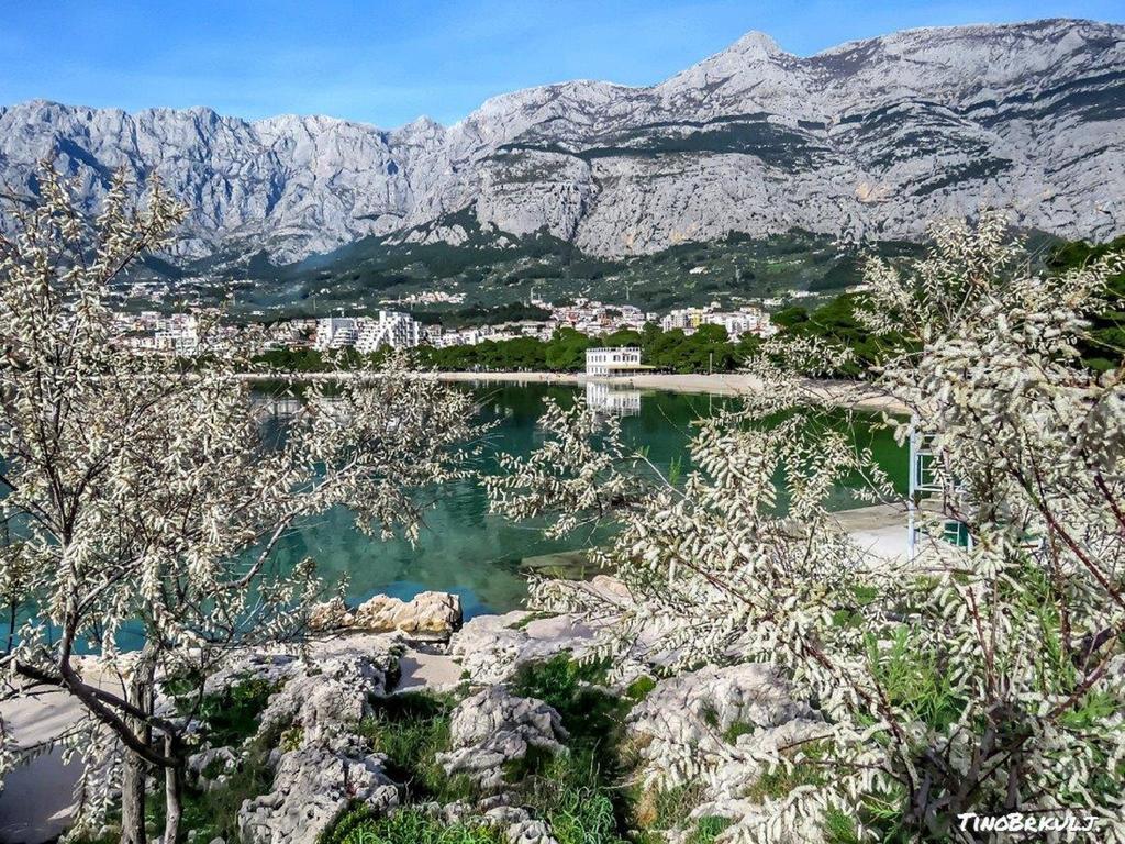Luxury Apartments Nadalina Sea View Makarska Zewnętrze zdjęcie